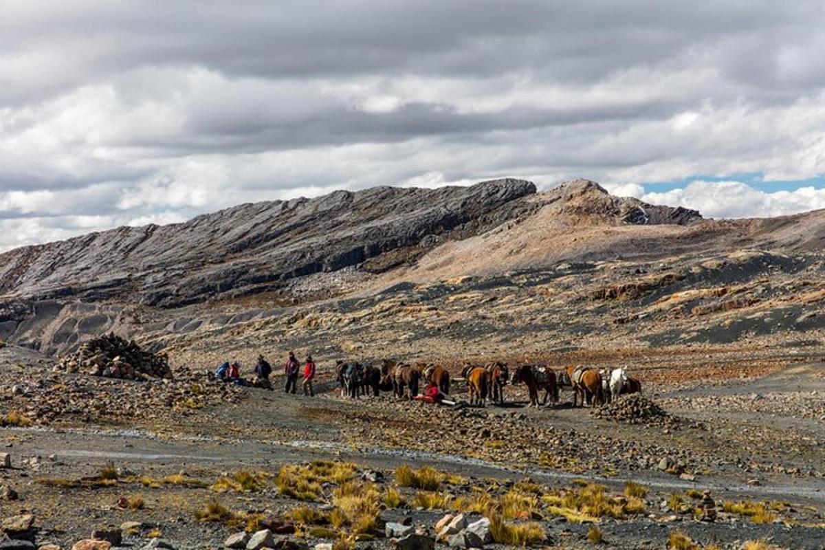 a herd of horses walking through a rocky mountain