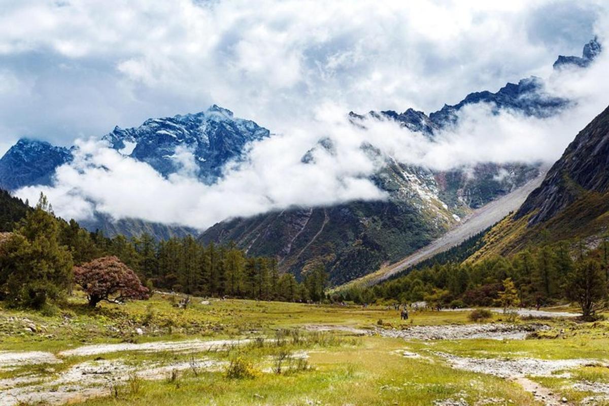 a view of a mountain with clouds in a field