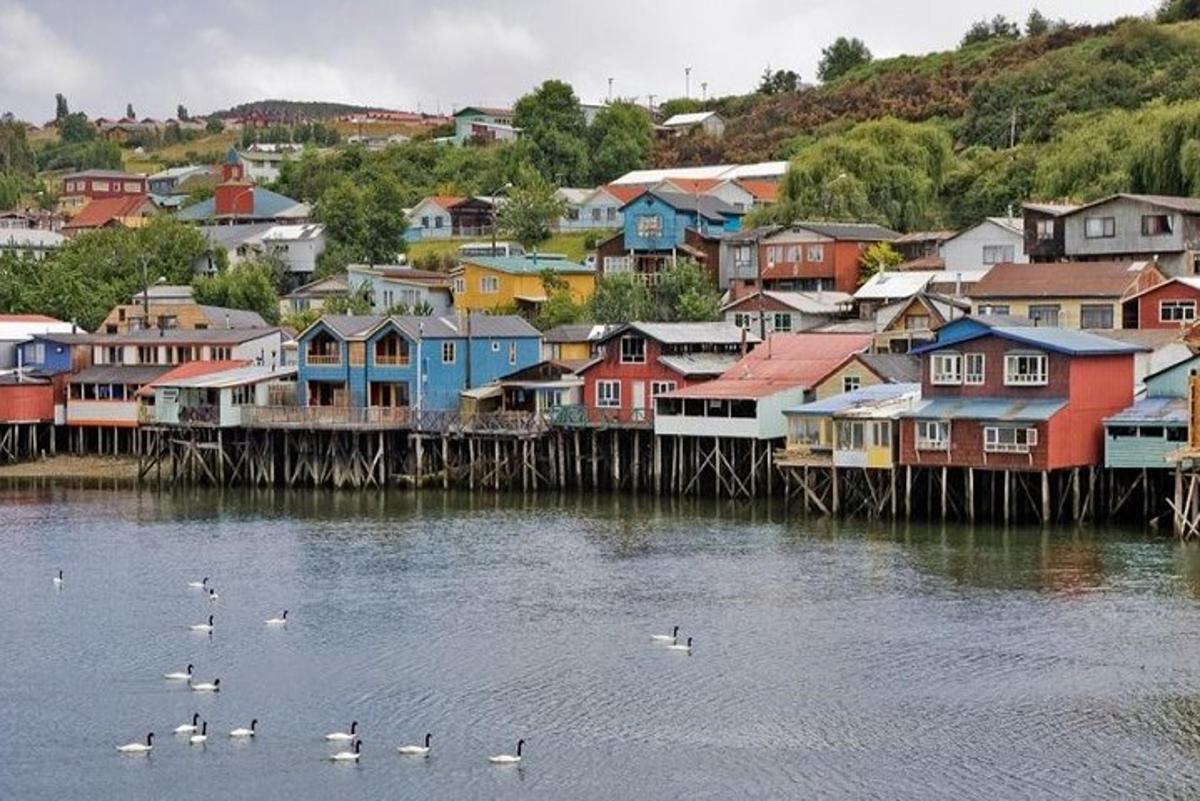 eine Stadt mit Häusern und Enten im Wasser