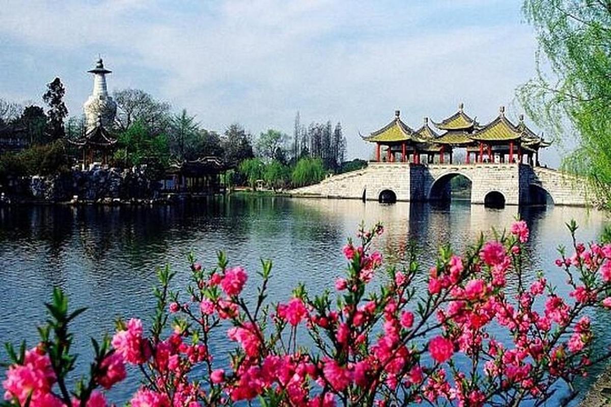 un ponte sopra uno specchio d'acqua con fiori rosa