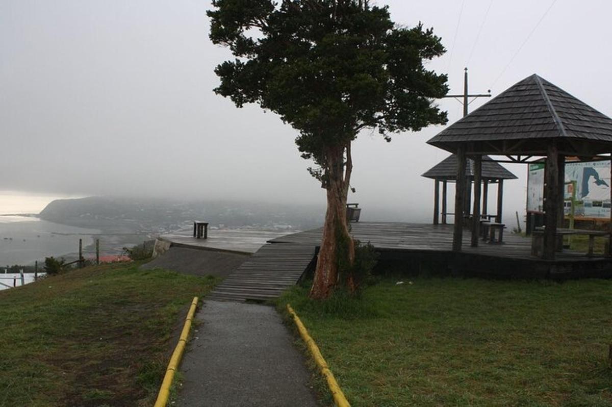 a tree on a hill with a gazebo
