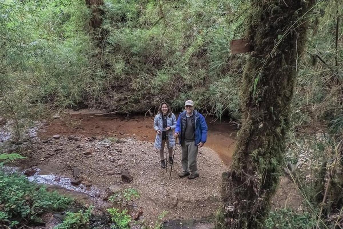 two people standing on a dirt trail in a forest