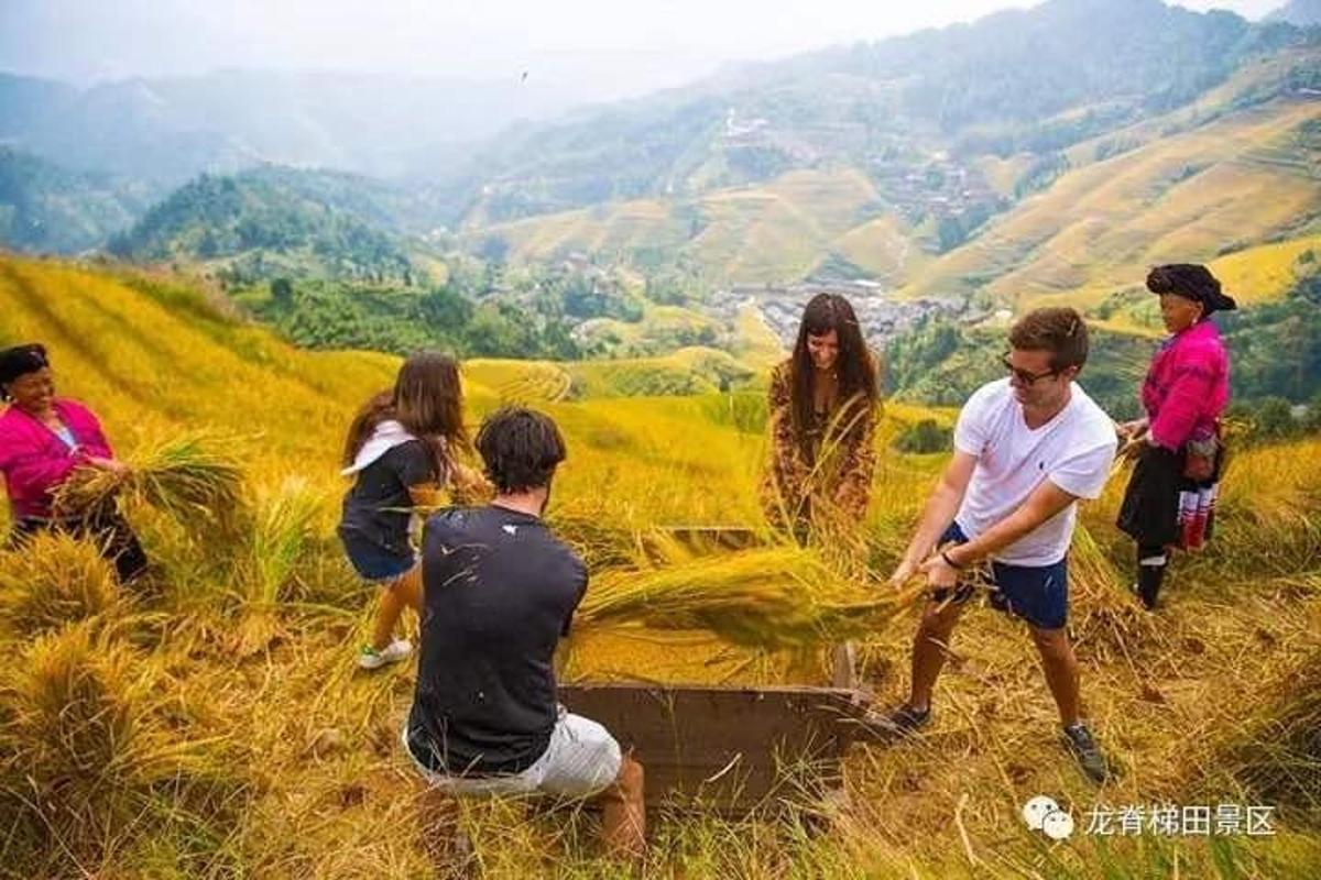 a group of people working in a field