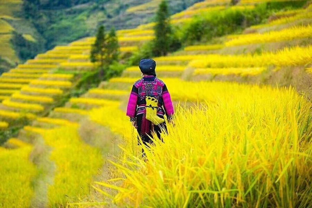 a man walking through a field of yellow flowers