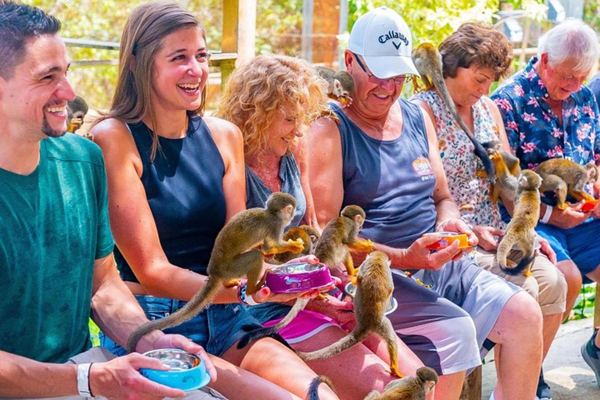 a group of people sitting around feeding animals