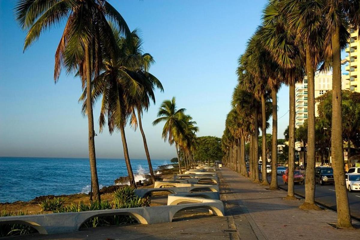 a street lined with palm trees next to the ocean