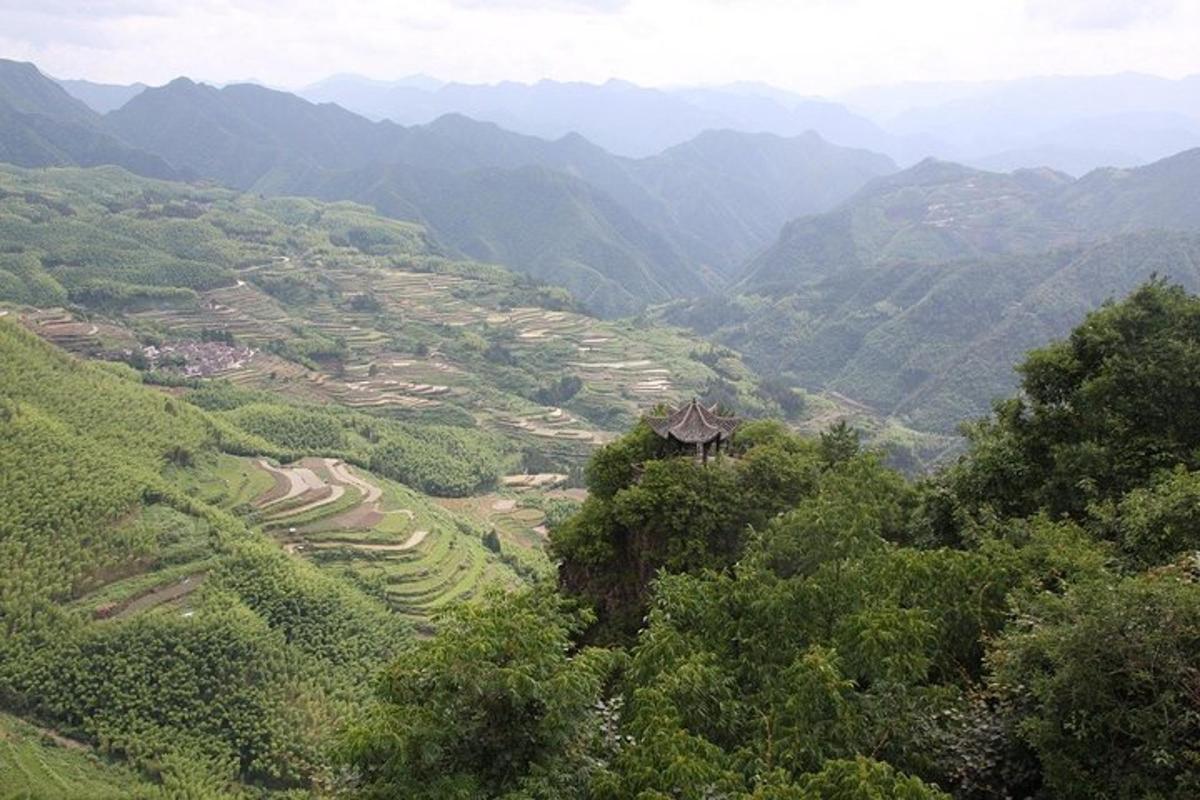 a view of a valley with mountains and trees