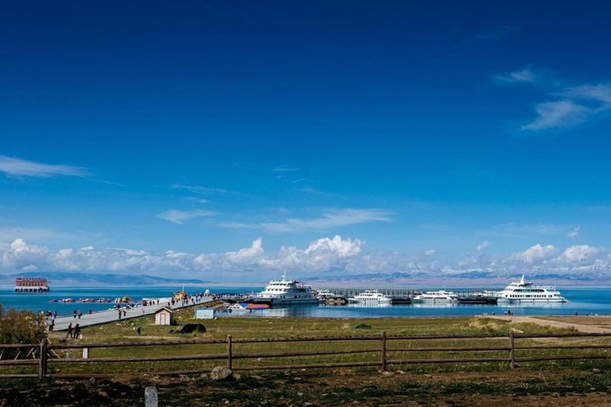 a group of cruise ships docked at a harbor