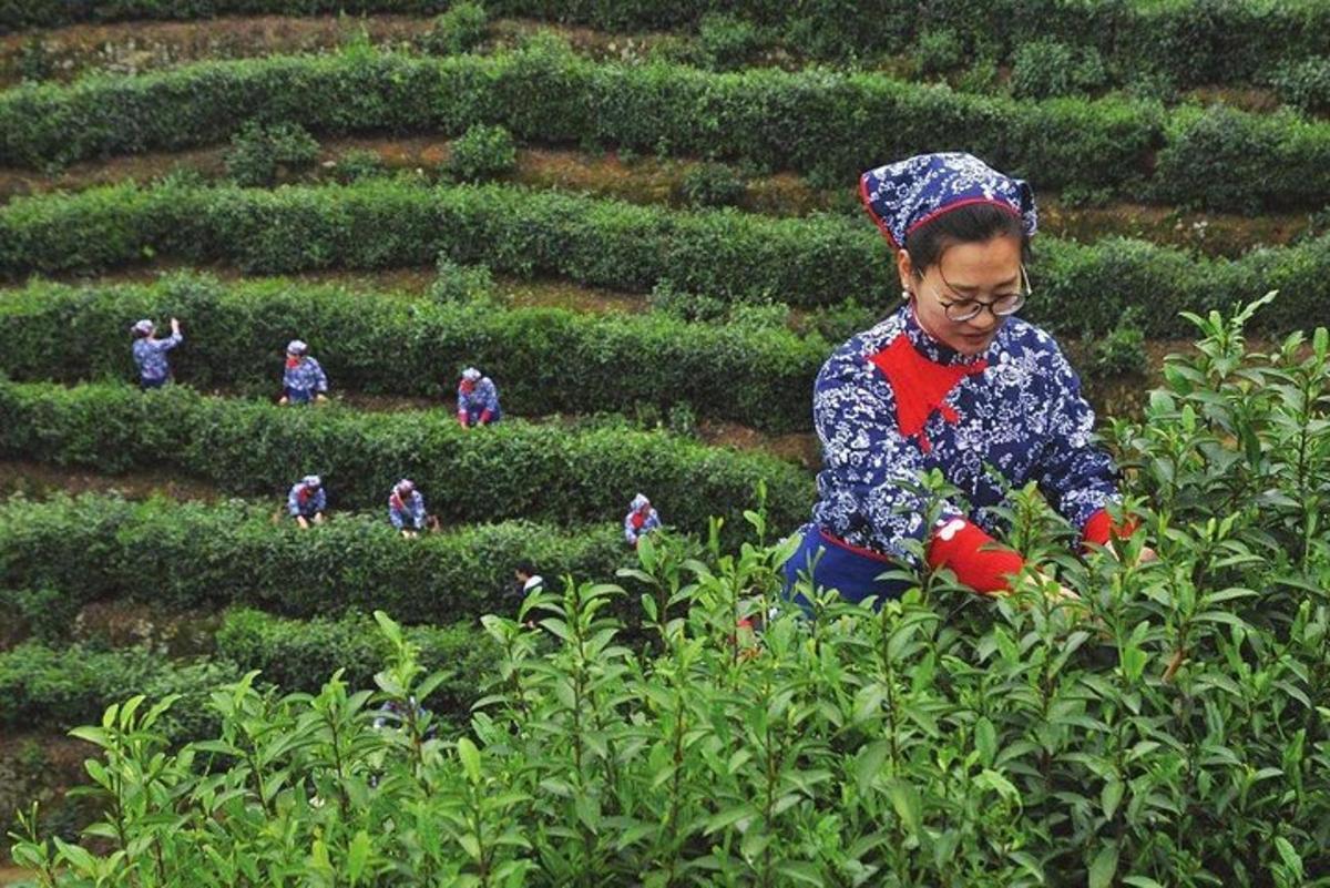 a woman is working in a hedge garden