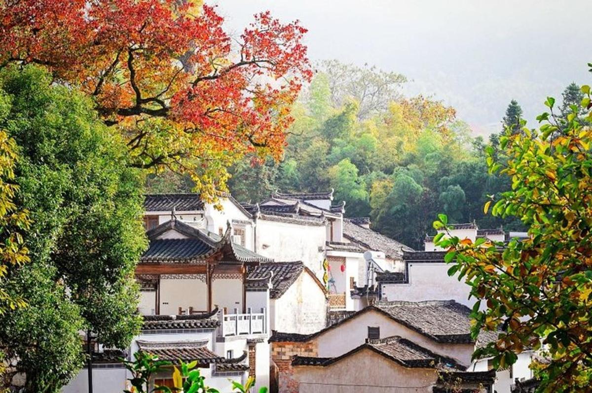 a view of a village with trees and buildings