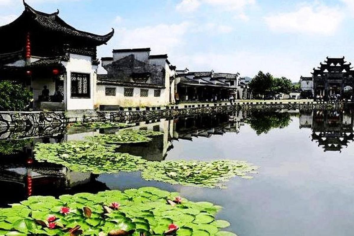 a reflection of a building in the water with lilies
