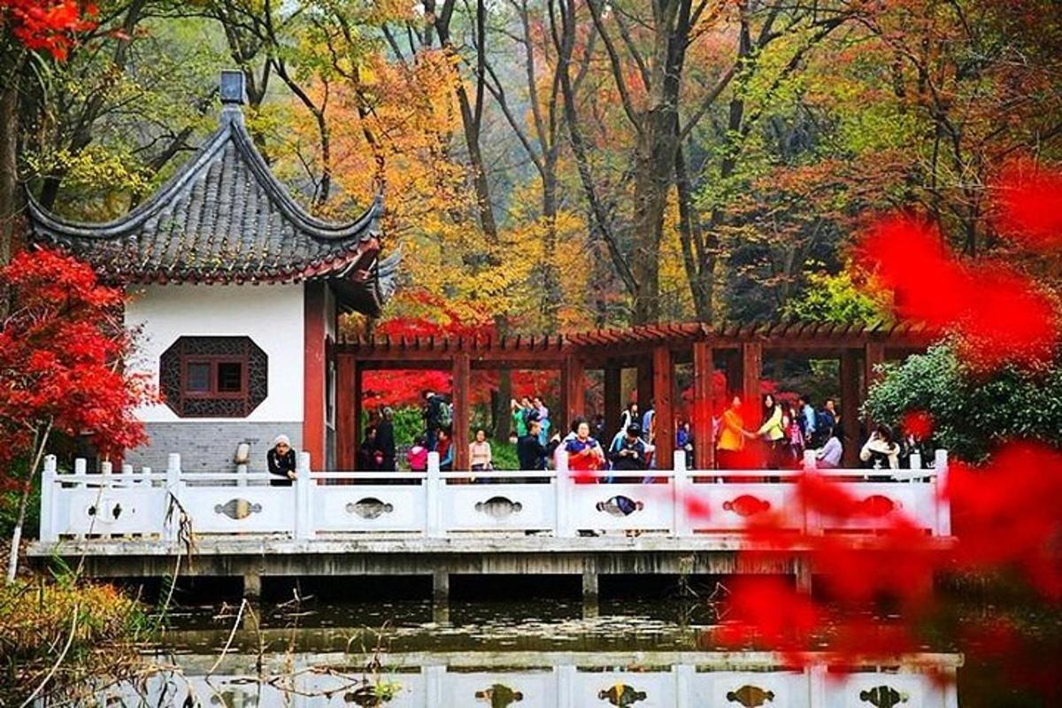 一群人站在池塘上的一座桥上