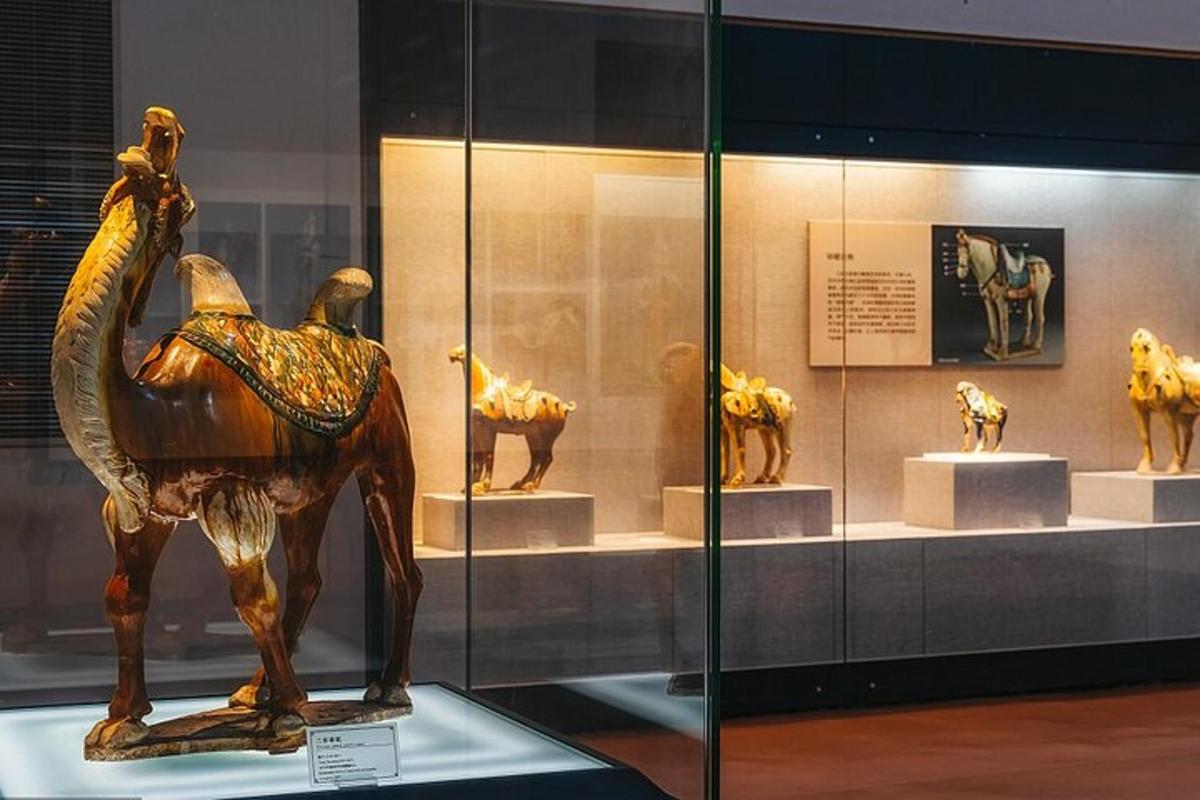 a display case with a statue of a camel in a museum