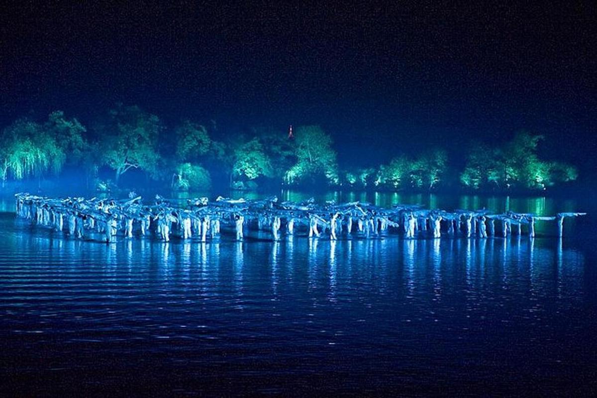 夜晚的湖景，树木和水