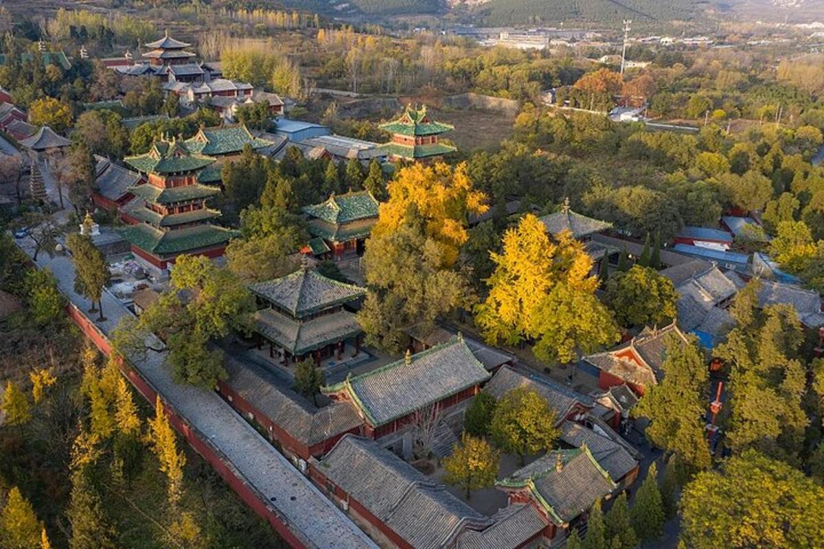 una vista dall'alto di una città con alberi ed edifici