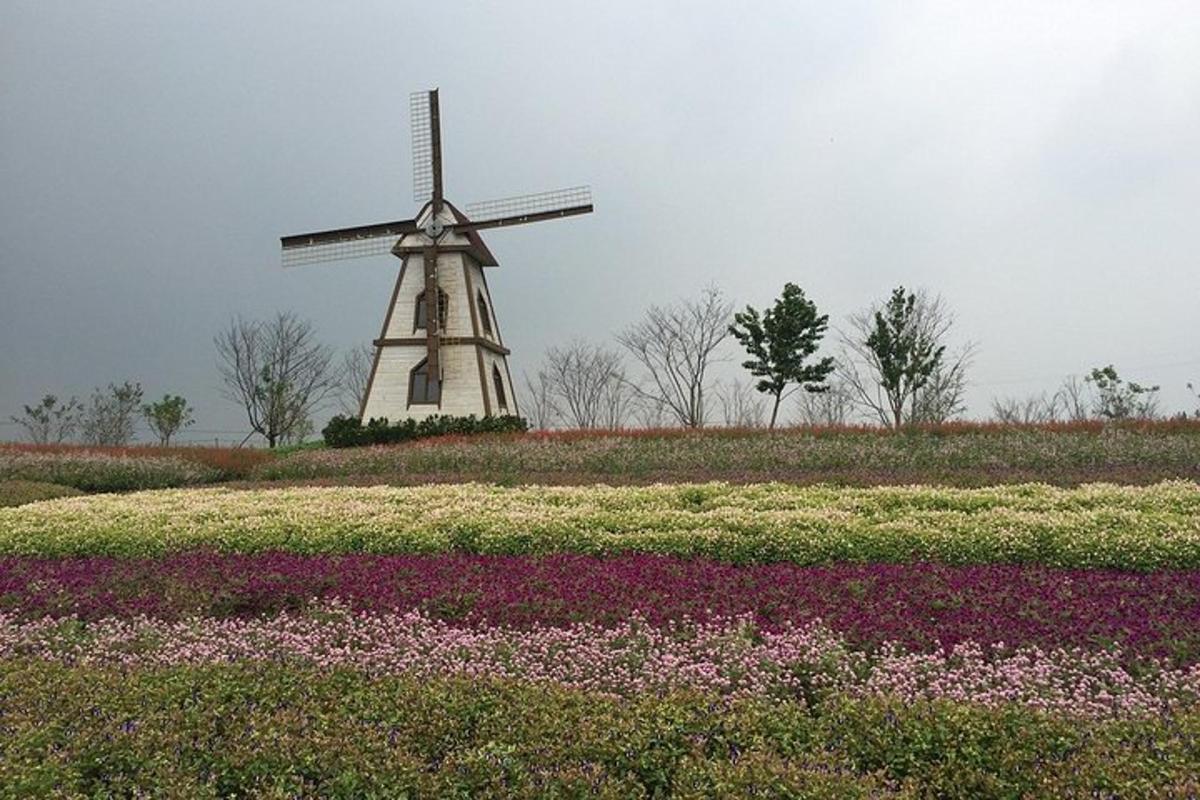 a windmill in the middle of a field of flowers