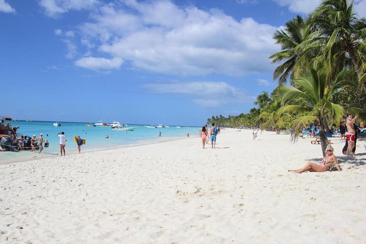 a group of people on a beach with palm trees