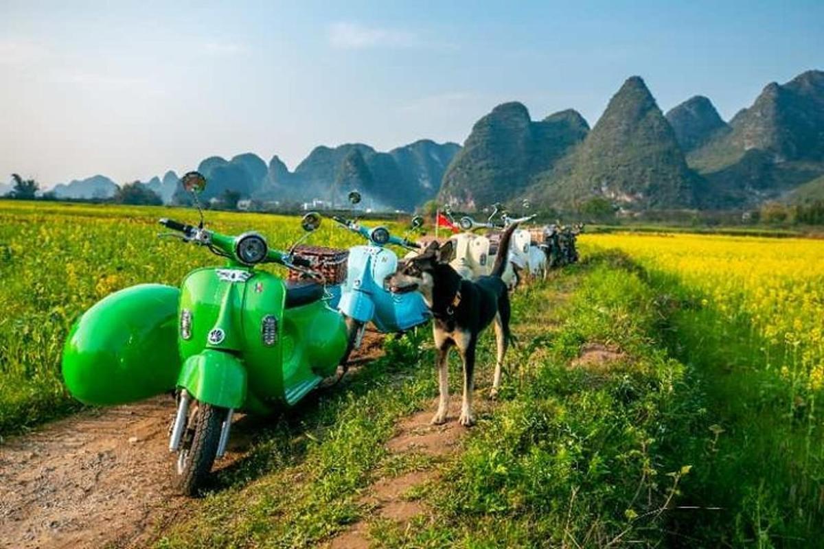 uma motocicleta verde estacionada em uma estrada de terra com um cachorro