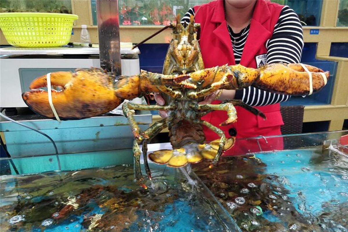a woman is holding a crab in the water