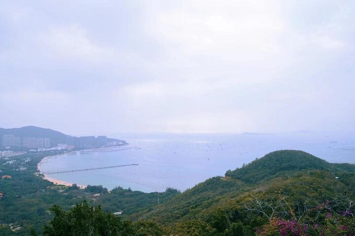 一大片水景和树木