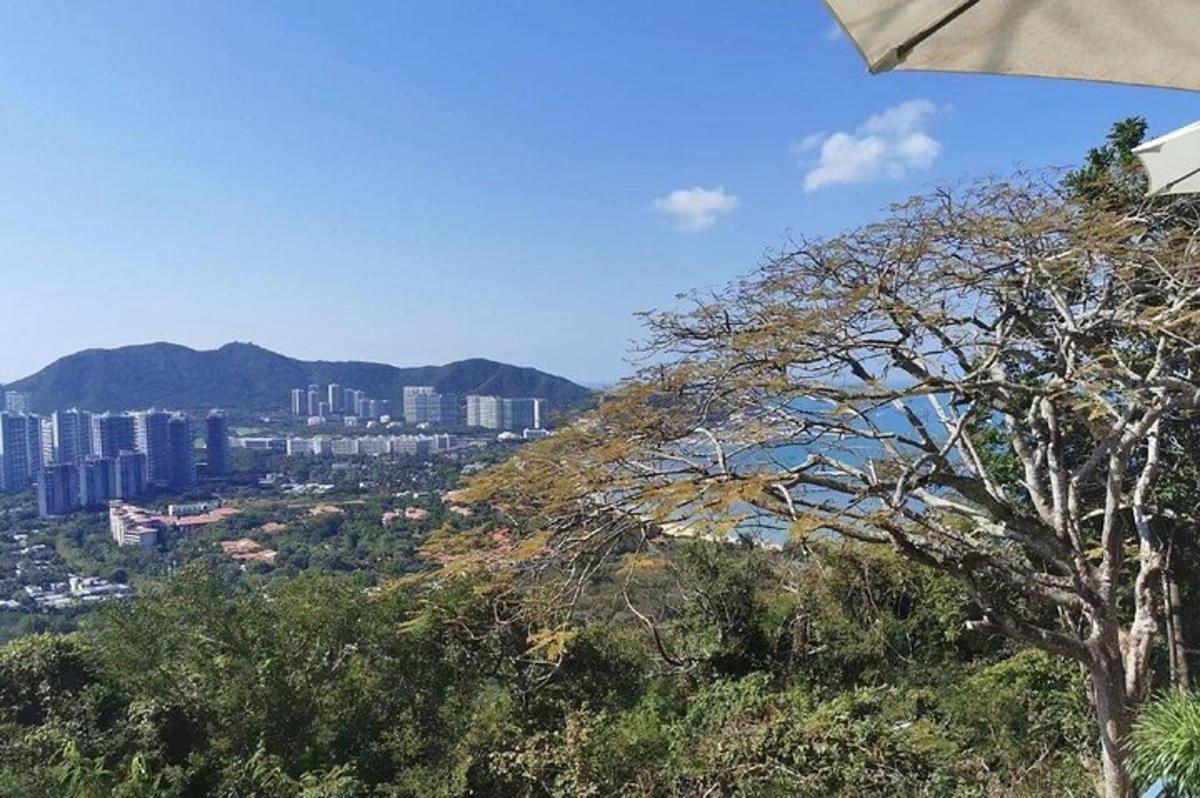 有建筑物和树木的城市景观