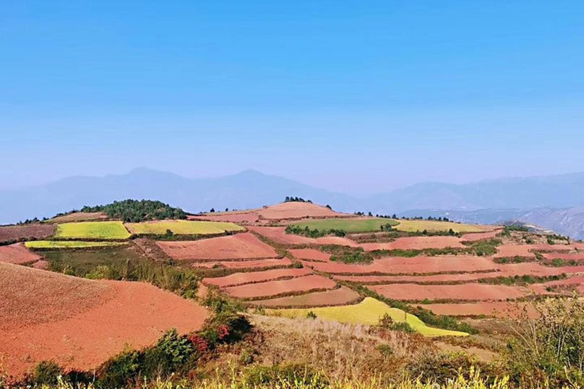 山上耕地的景色