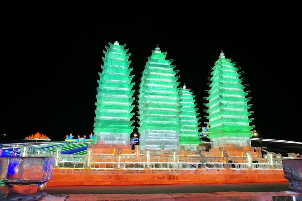 a group of green christmas trees are lit up