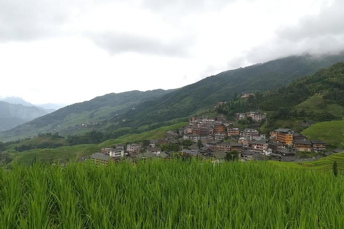 a village in the middle of a green mountain