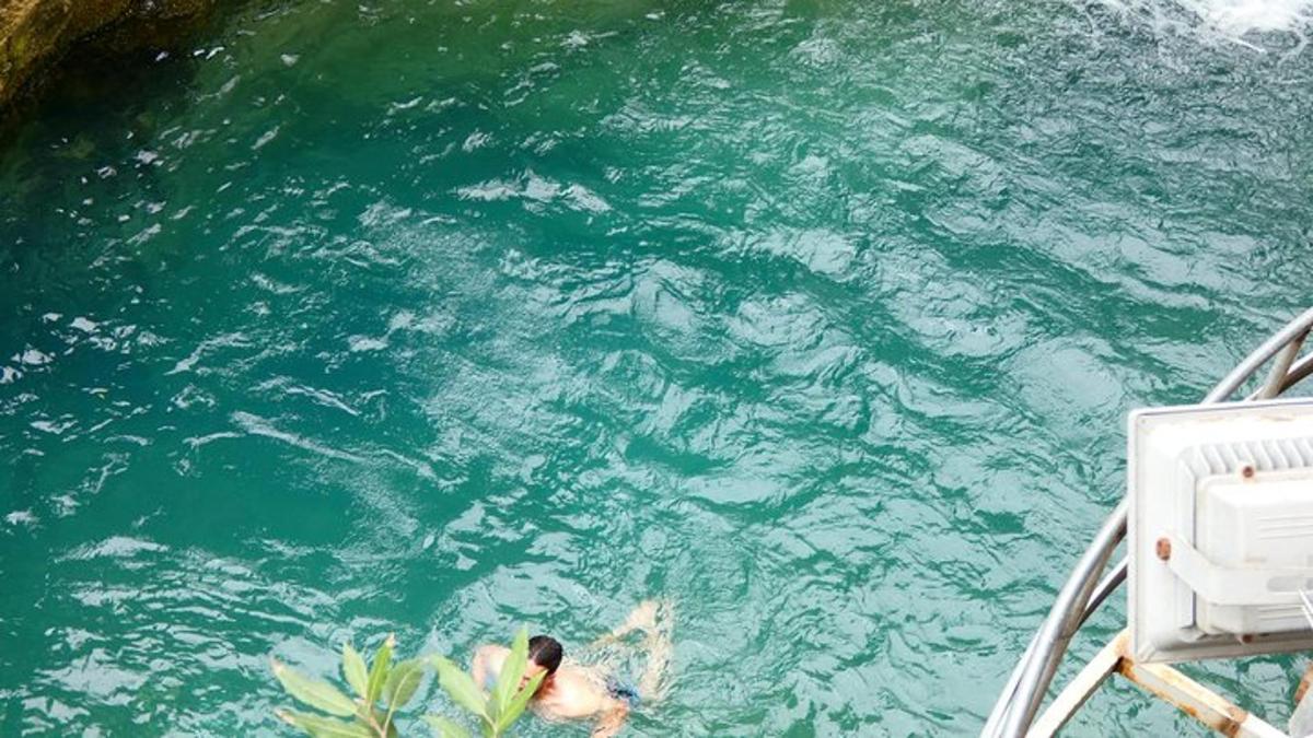 seseorang yang berenang di dalam air di atas bot