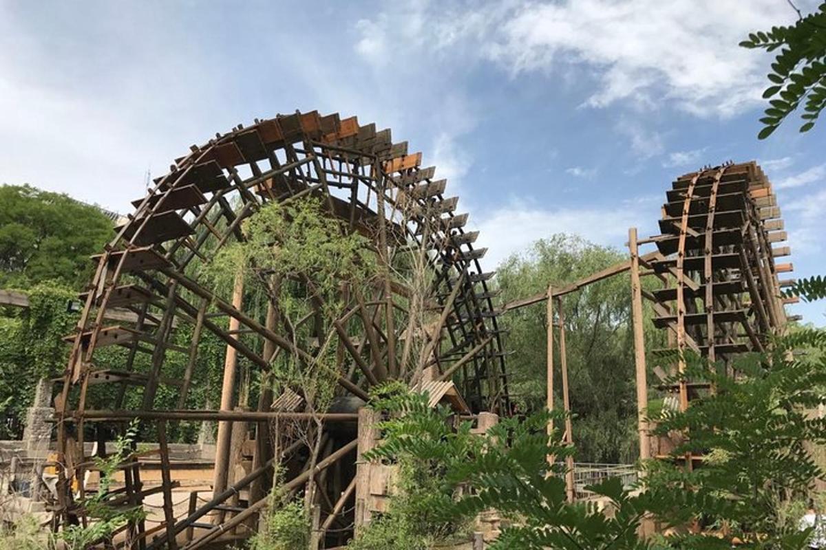 an abandoned roller coaster in a park