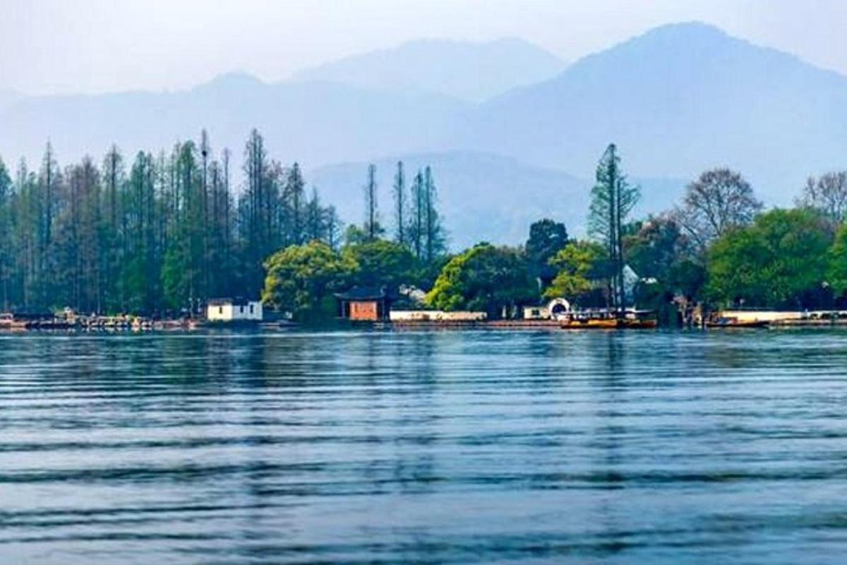 a large body of water with houses and trees