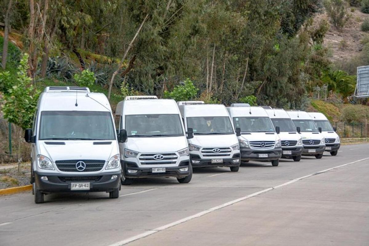 a row of white vans parked in a parking lot