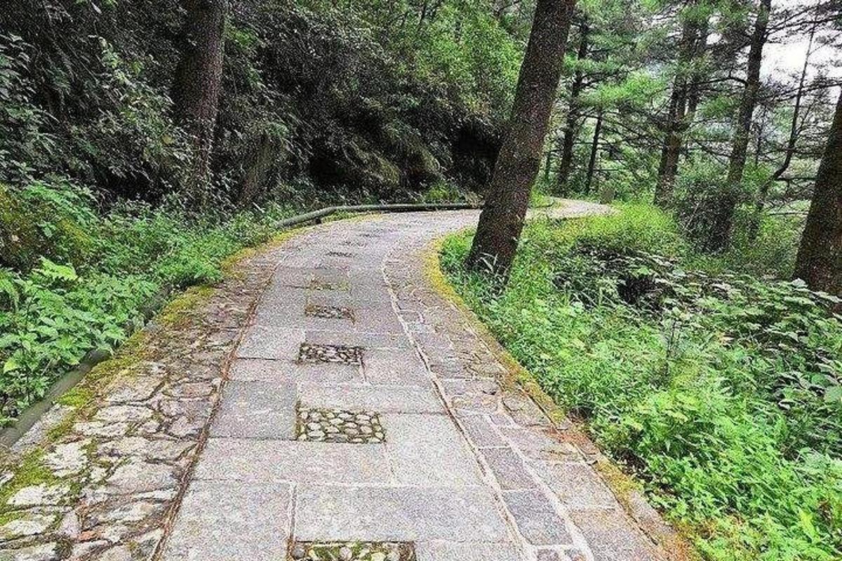 森林中的一条石路