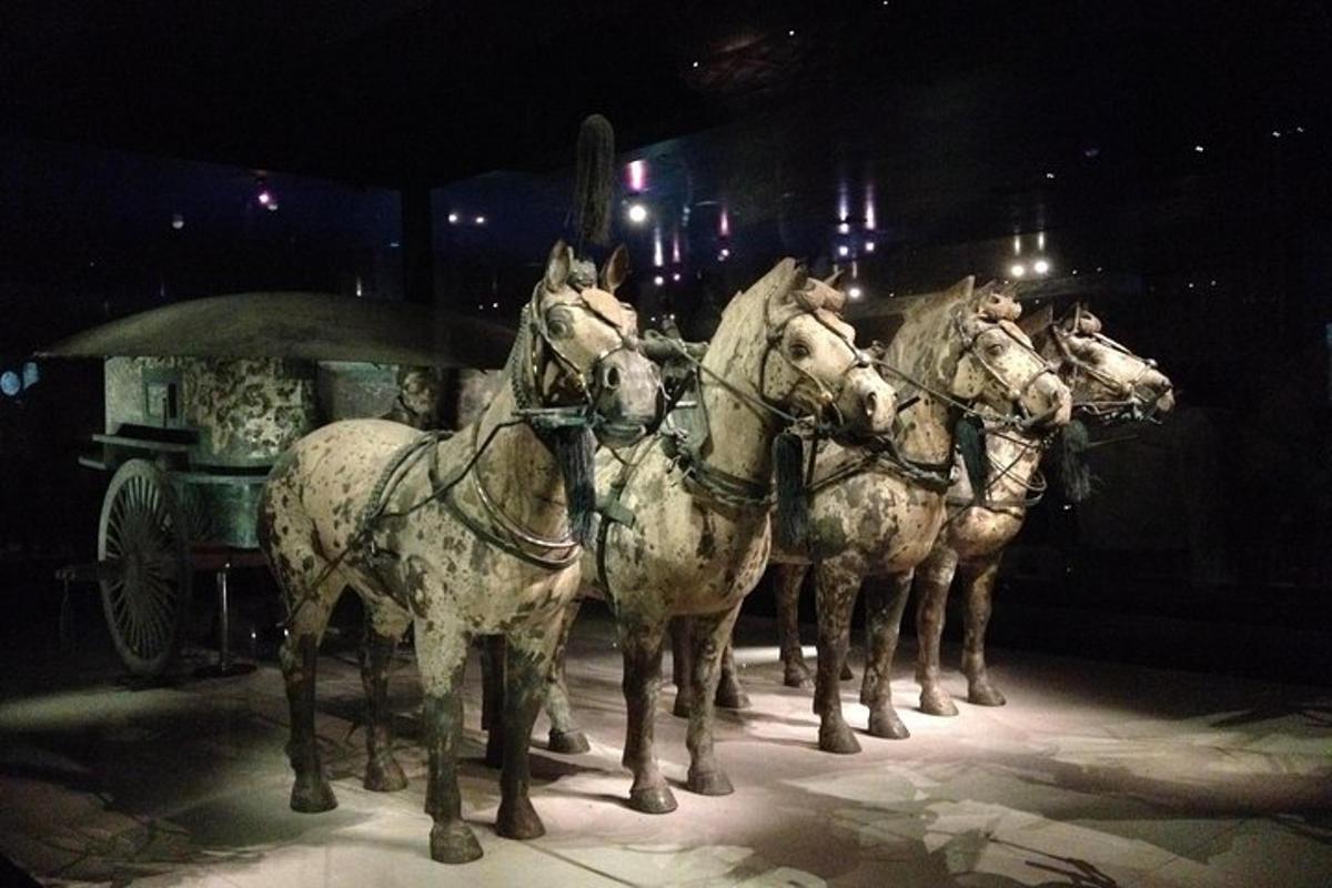 a group of horses standing next to a carriage