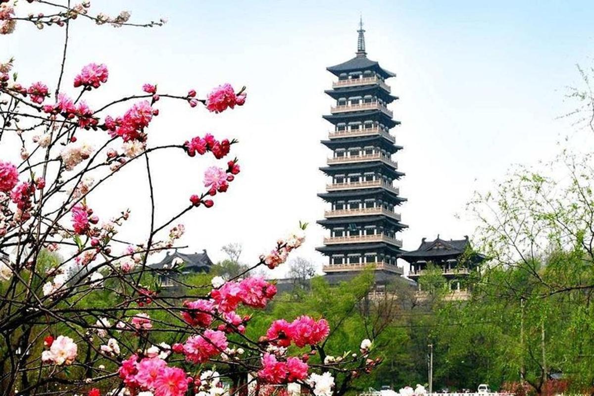 a tall building in the background with pink flowers