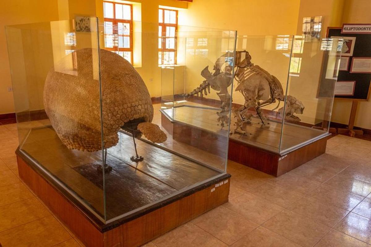 muuseum sarkofaagi ja troojalasega