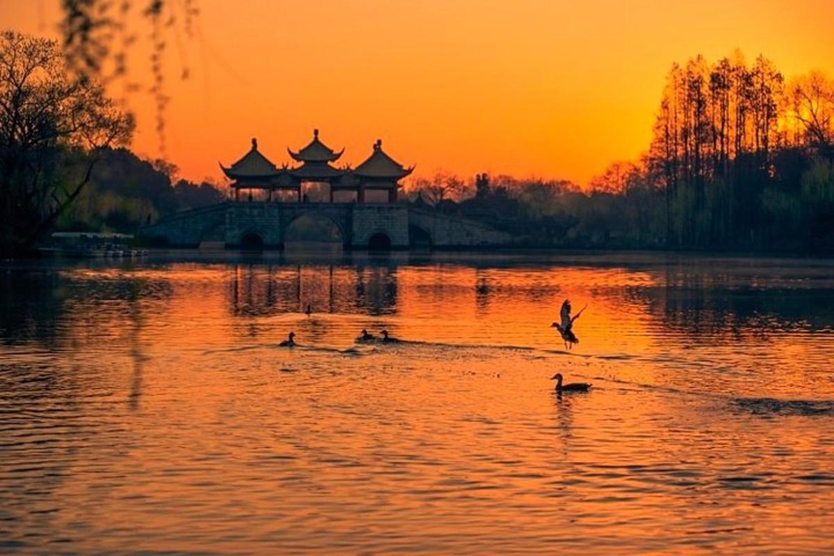 a group of ducks swimming in a lake at sunset