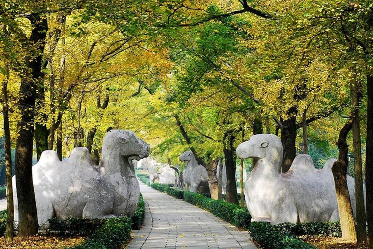 a row of white sheep statues in a park