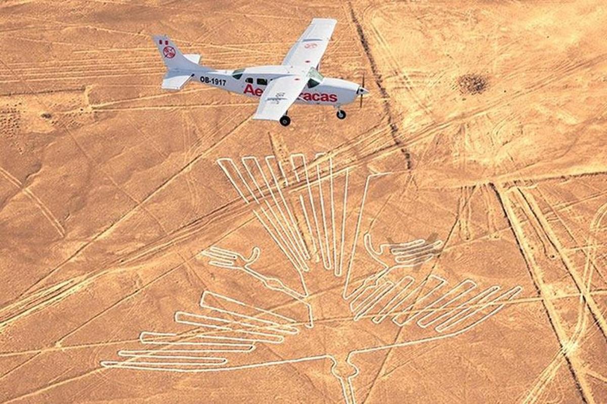 un aereo che vola sopra un campo con un disegno sopra