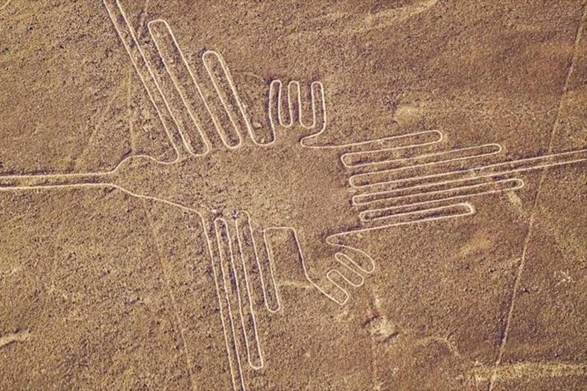 un disegno di due paia di mani a terra