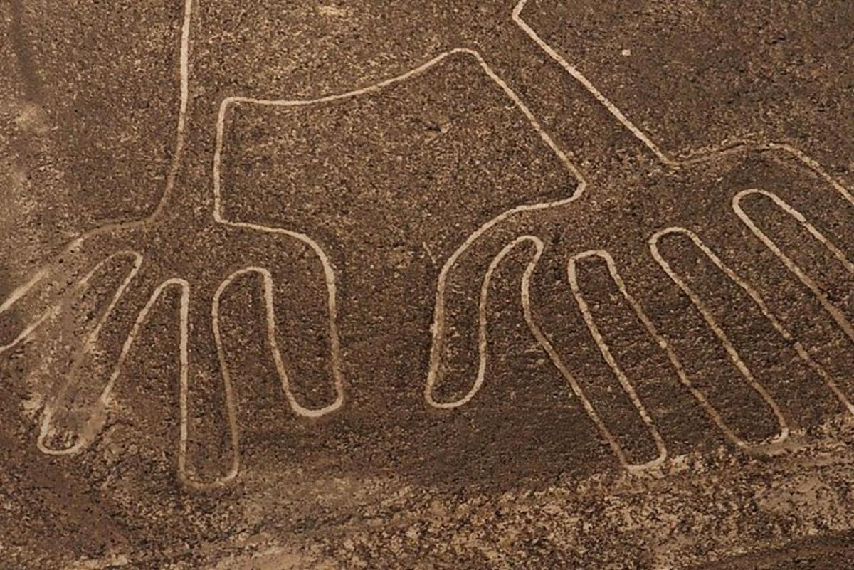 un disegno di una mano che tiene un ombrello
