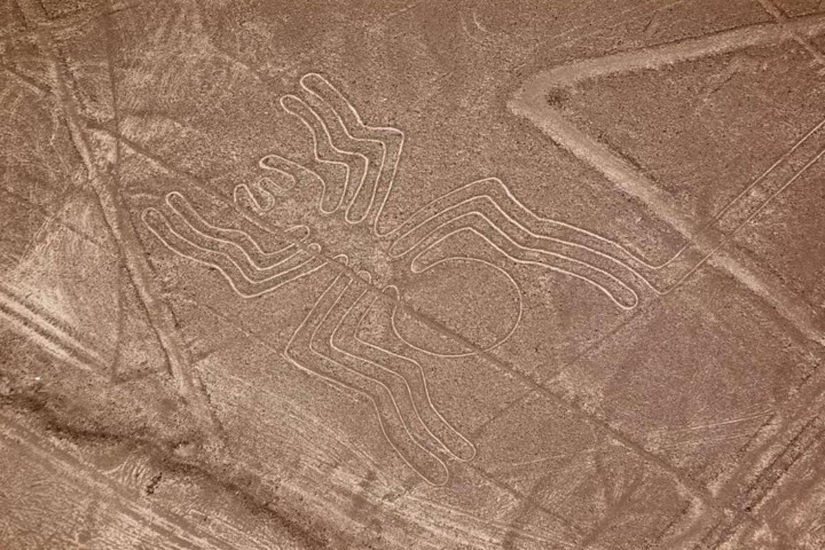 un disegno di un cuore sul terreno