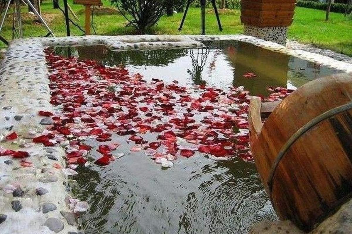 ピンクと赤の花で満たされた池