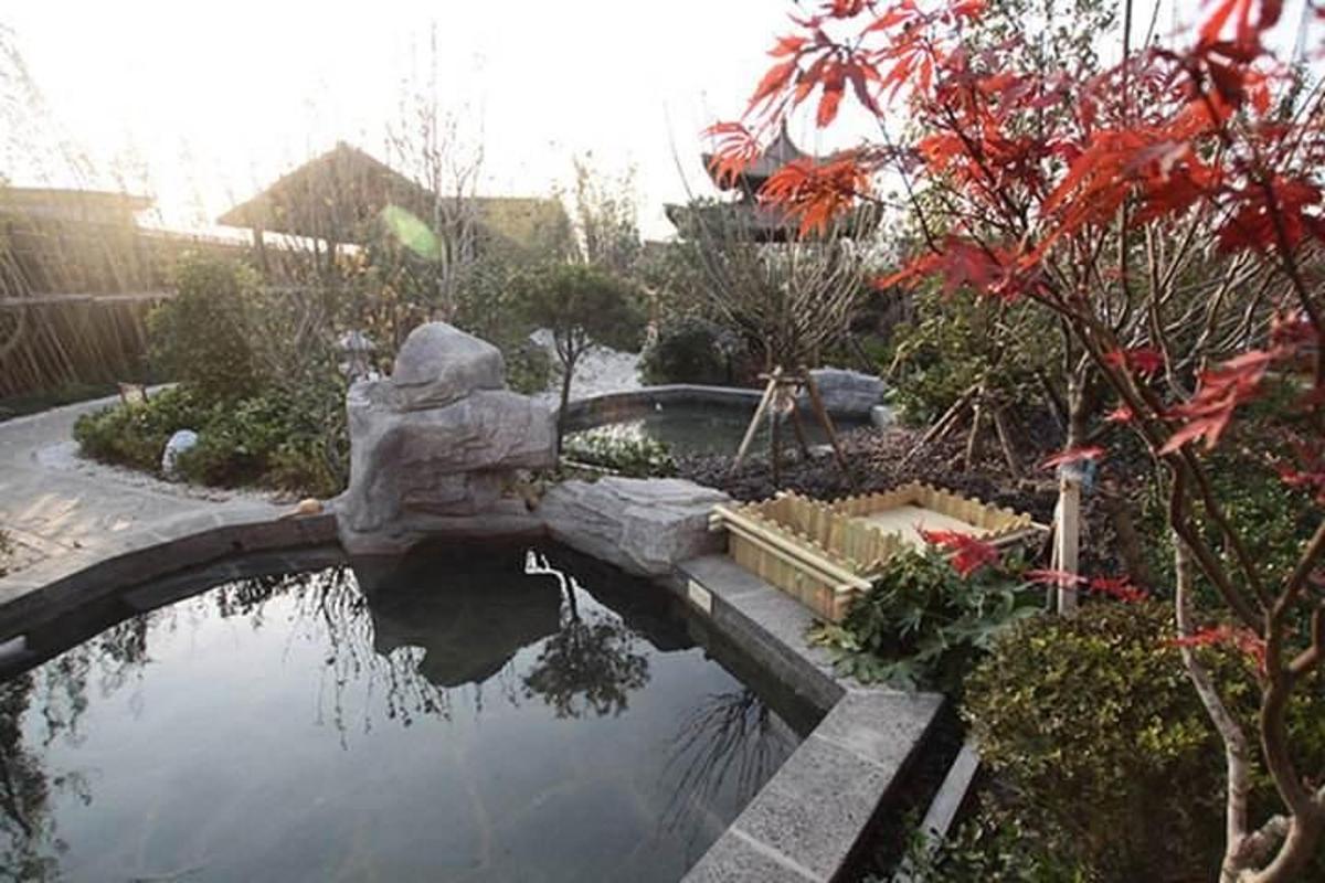 花园里有一个池塘，池塘里有一座雕像