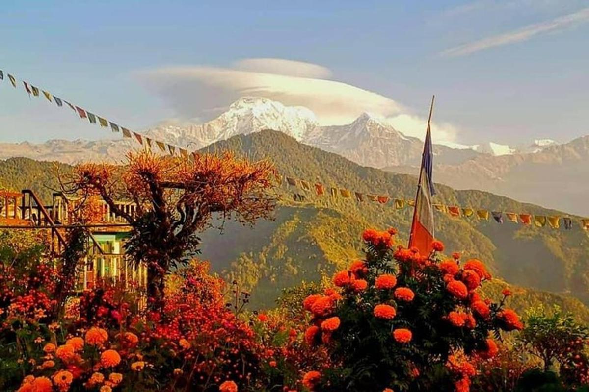 a view of a mountain with a flag and flowers