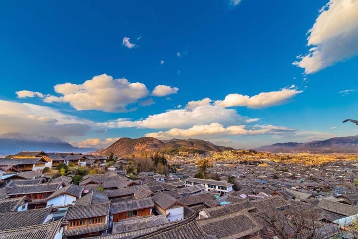 a view of a city with houses and mountains