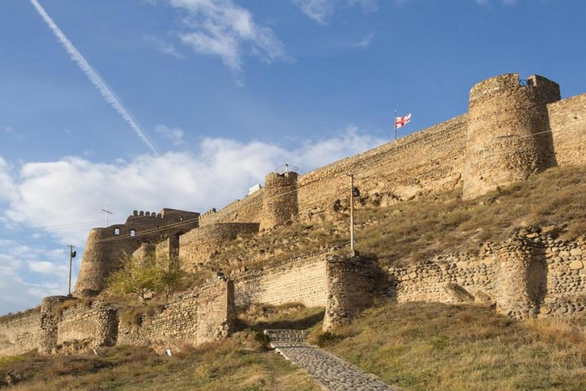 a castle on top of a hill with a flag