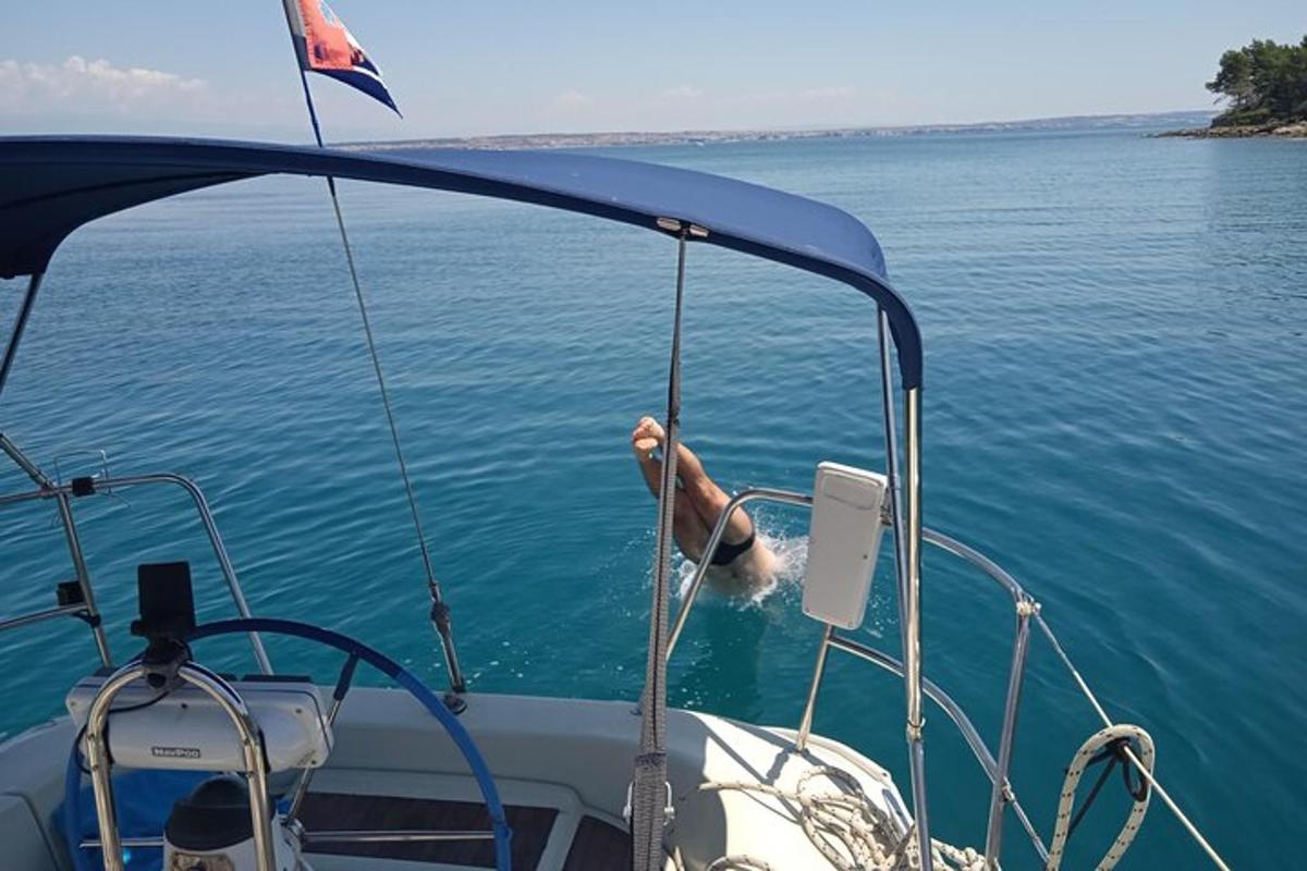 um cachorro parado na frente de um barco na água