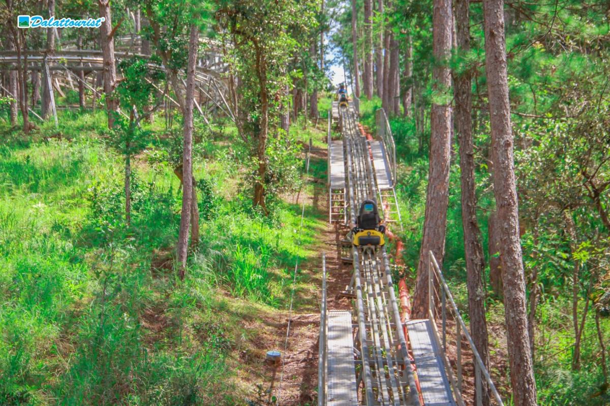 un tren de joguina en una via al bosc