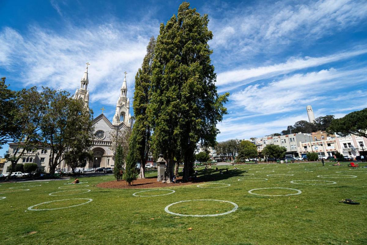 un árbol en un campo frente a una iglesia